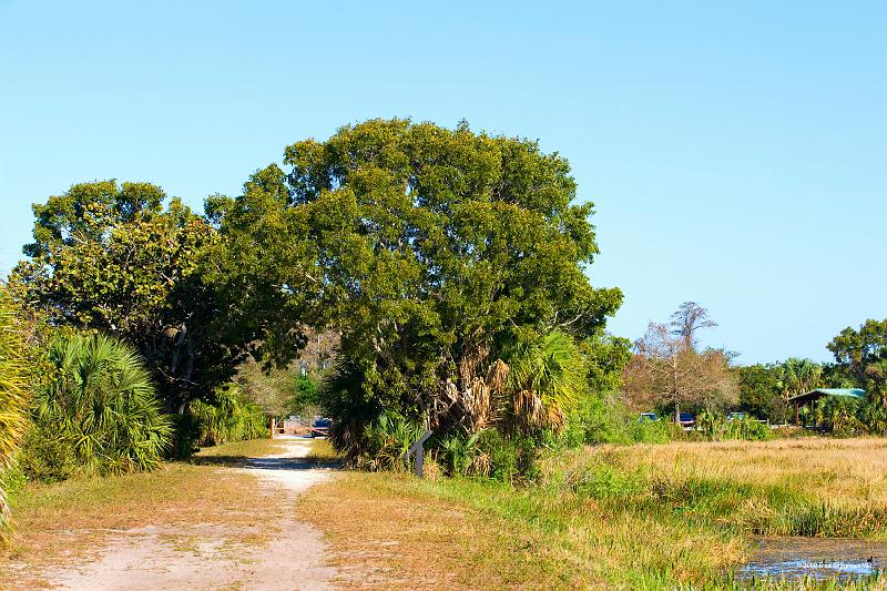 20090220_161034 D3 P1 5100x3400 srgb.jpg - Loxahatchee National Wildlife Preserve